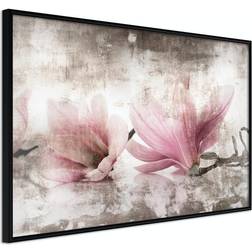 Arkiio Affisch Magnolia Memory [Poster] 60x40 Poster